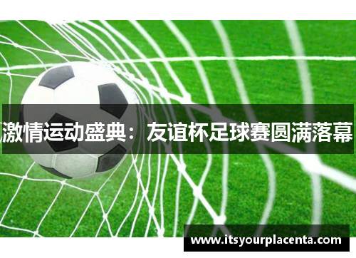 激情运动盛典：友谊杯足球赛圆满落幕